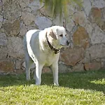 Funtana Marina